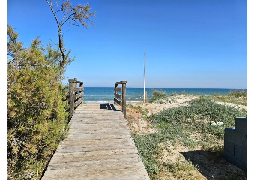 Sad pomarańczowy 350m od plaży w Cullera, Walencja